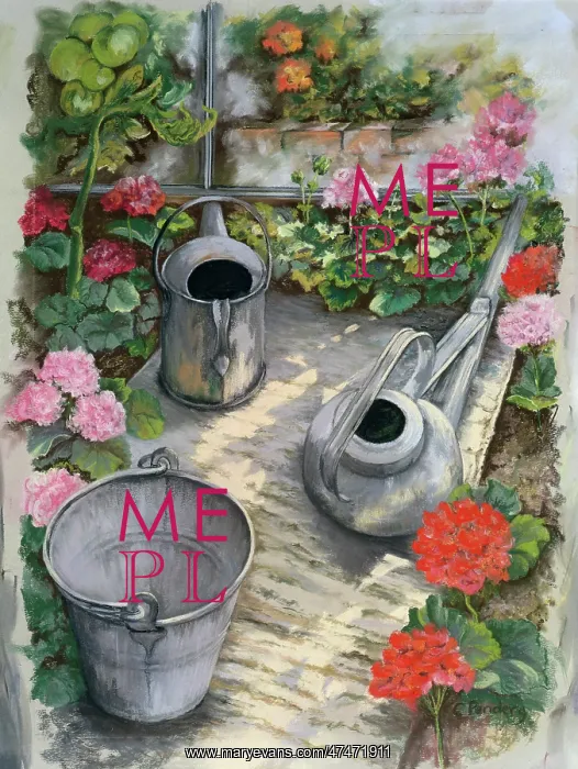 : Geraniums and Watering Cans : Geraniums and Watering Cans