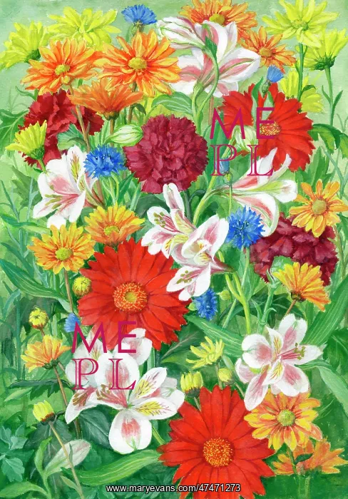 : Gerbera, alstroemeria, dahlias, cornflowers and carnations : Gerbera, alstroemeria, dahlias, cornflowers and carnations