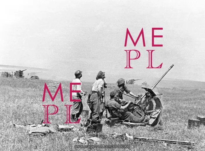 : German 2 cm Flak in Russia : German 2 cm Flak in Russia