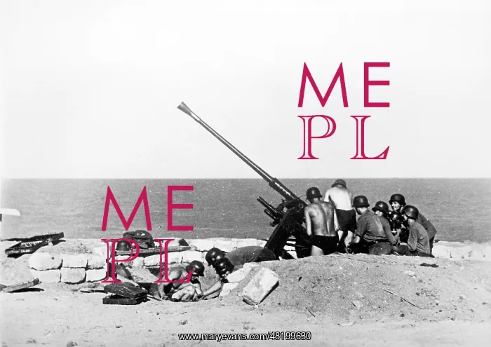 : German 3.7cm Flak 36 on the Eastern Front, 1942 : German 3.7cm Flak 36 on the Eastern Front, 1942