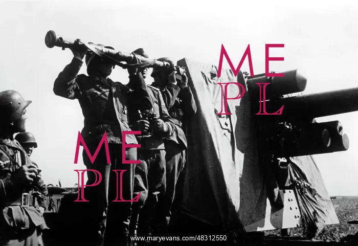 : German 8.8cm Flak 36 - Eastern Front, 1942 : German 8.8cm Flak 36 - Eastern Front, 1942