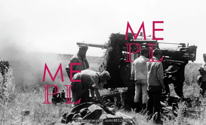 : German 8.8cm Flak 36 - Eastern Front, 1942 : German 8.8cm Flak 36 - Eastern Front, 1942