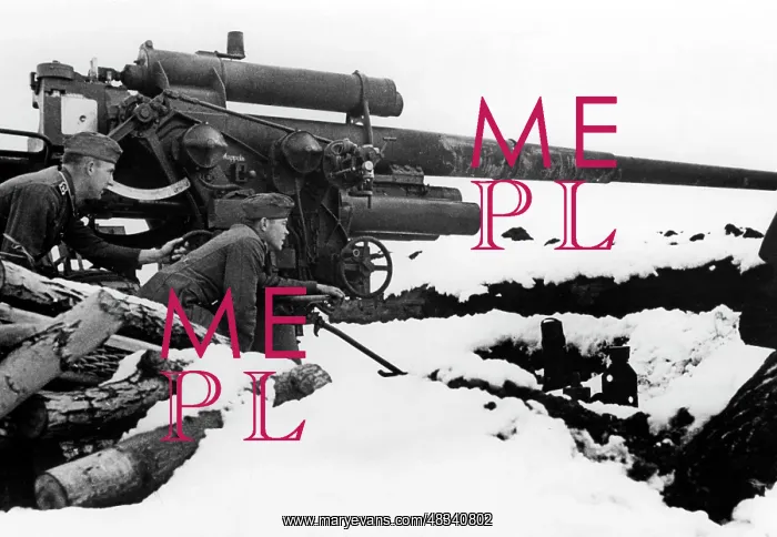 : German 8.8cm Flak - Eastern Front, 1943 : German 8.8cm Flak - Eastern Front, 1943