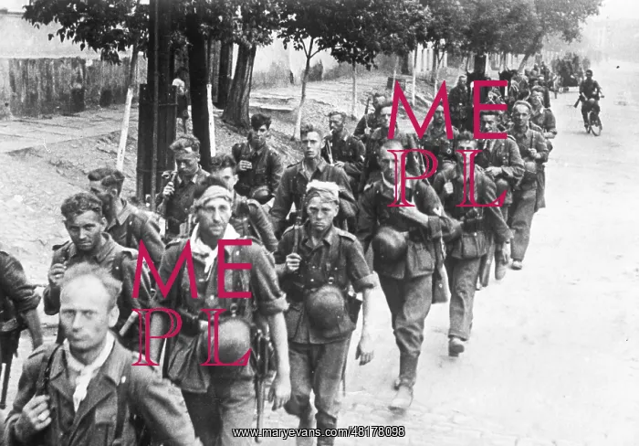 : German advance in the southern sector of the Eastern Front : German advance in the southern sector of the Eastern Front