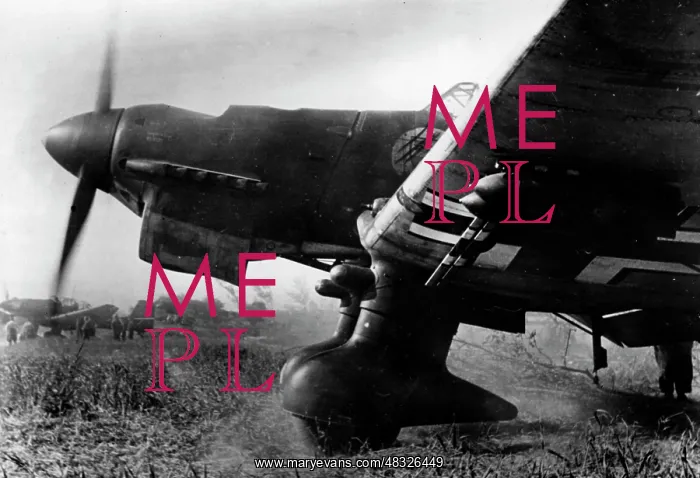 : German Air Force during the Battle of Britain, 1940 : German Air Force during the Battle of Britain, 1940