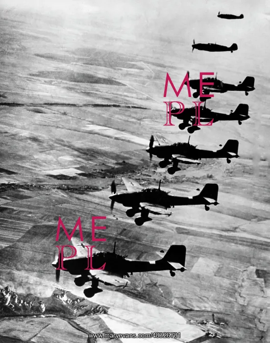 : German Air Force during the Battle of Britain, 1940 : German Air Force during the Battle of Britain, 1940