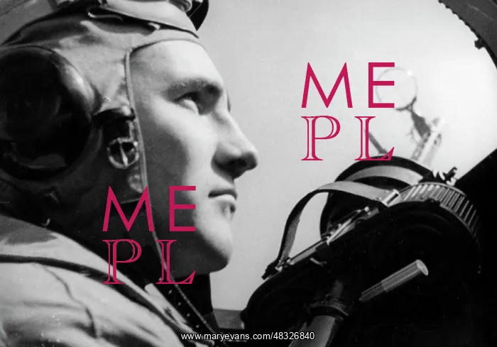 : German Air Force during the fighting in Poland, 1939 : German Air Force during the fighting in Poland, 1939