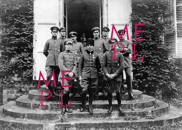 : German Air Force in World War I, 1916 : German Air Force in World War I, 1916