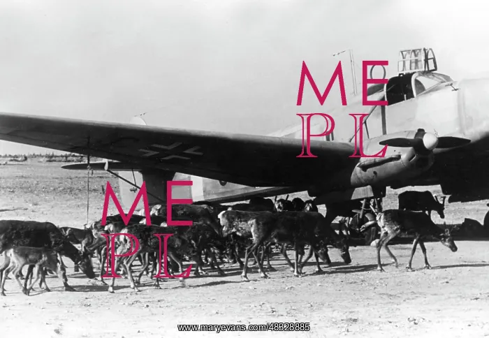: German airplane in Finland, 1941 : German airplane in Finland, 1941