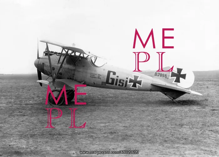 : German Albatros D.V fighter plane, WW1 : German Albatros D.V fighter plane, WW1