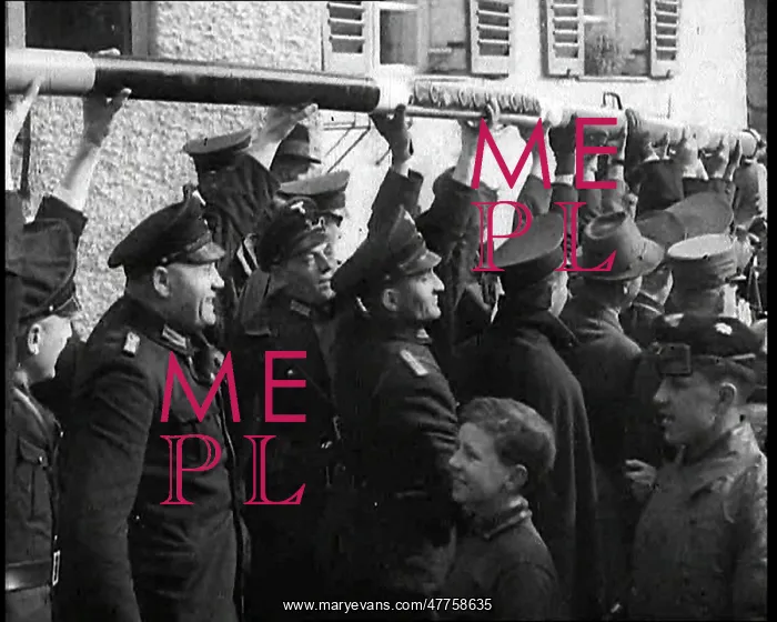 : German Annexation of Austria : German Annexation of Austria