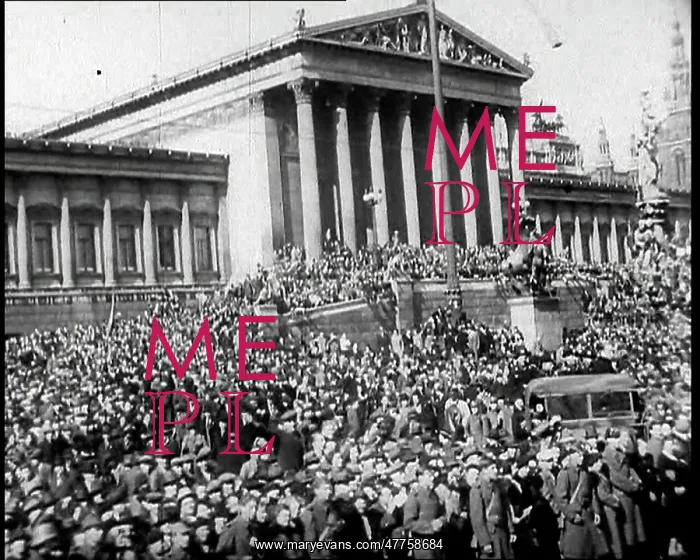 : German Annexation of Austria : German Annexation of Austria