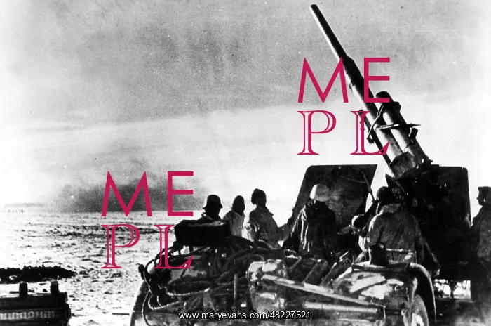 : German anti-aircraft gun during hostilities on the Eastern : German anti-aircraft gun during hostilities on the Eastern