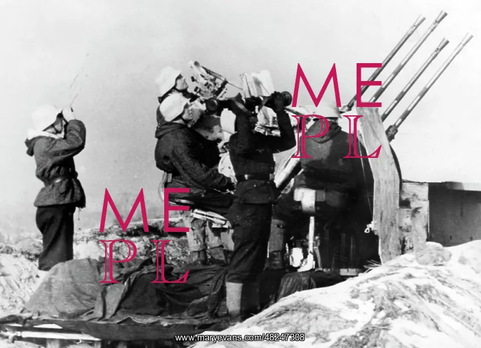 : German anti-aircraft position on the Eastern Front, 1945 : German anti-aircraft position on the Eastern Front, 1945