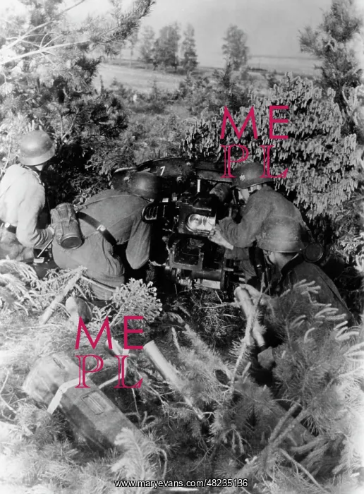 : German anti-tank gun position on the Eastern Front, 1941 : German anti-tank gun position on the Eastern Front, 1941
