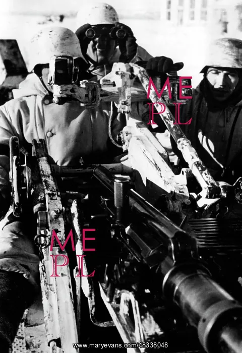 : German antiaircraft gun on the Eastern Front, 1943 : German antiaircraft gun on the Eastern Front, 1943