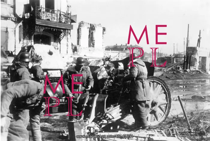 : German artillery during combat around Kharkiv, 1943 : German artillery during combat around Kharkiv, 1943