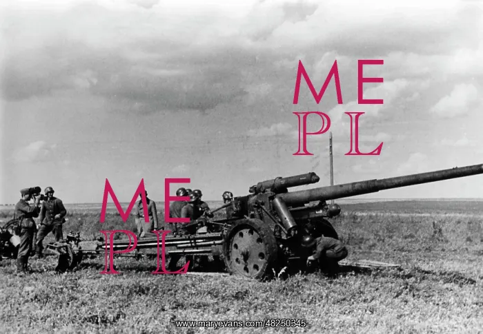 : German artillery on the Eastern Front, 1941 : German artillery on the Eastern Front, 1941