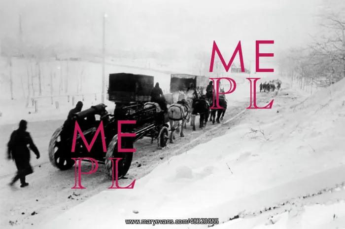 : German artillery on the Eastern Front, 1942 : German artillery on the Eastern Front, 1942