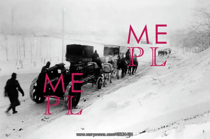: German artillery on the Eastern Front, 1942 : German artillery on the Eastern Front, 1942