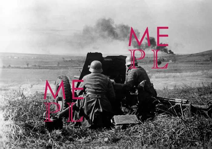 : German artillery on the Eastern front, May 1942 : German artillery on the Eastern front, May 1942