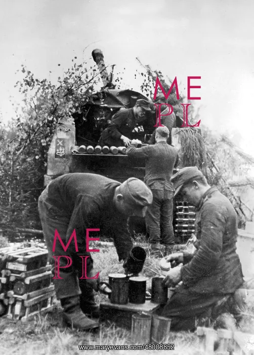 : German artillery in a firing position on the Eastern Front : German artillery in a firing position on the Eastern Front