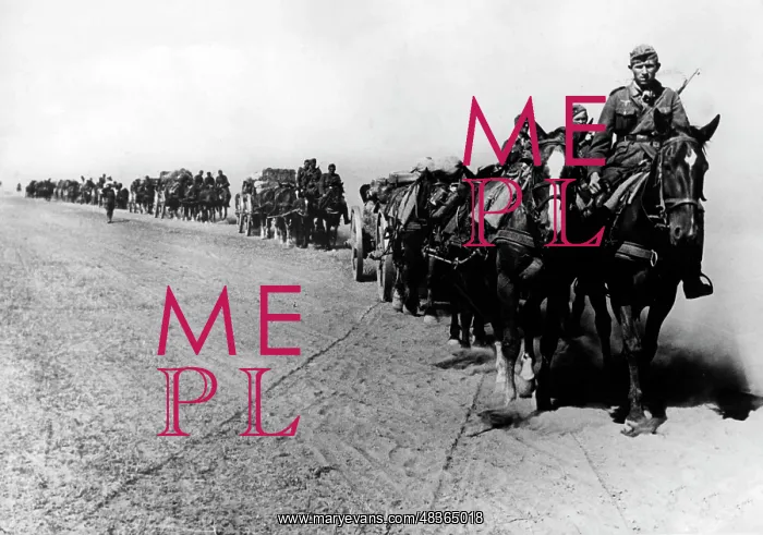: German artillery on the march on the Eastern front, 1942 : German artillery on the march on the Eastern front, 1942