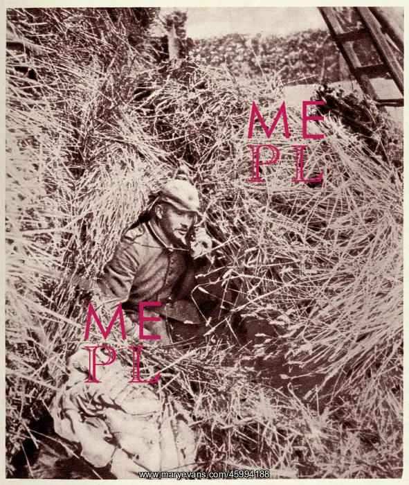 : German artillery observation post in a haystack 1914 : German artillery observation post in a haystack 1914