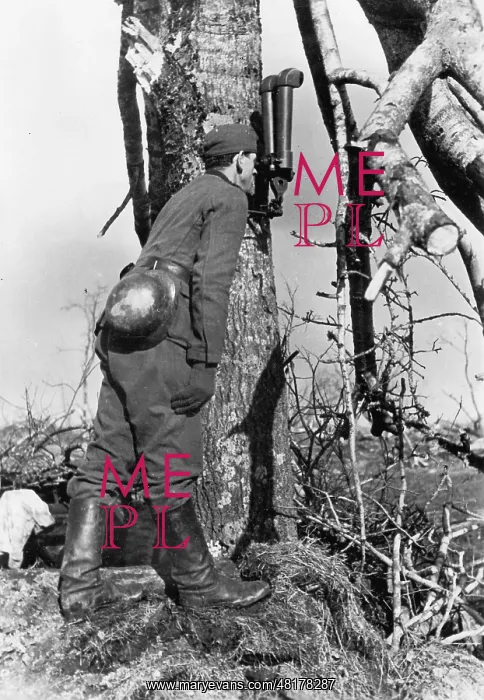 : German artillery observer on the Eastern front, 1943 : German artillery observer on the Eastern front, 1943