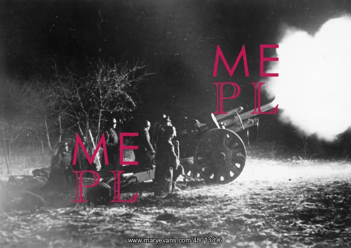 : German artillery during the offensive on Moscow, 1941 : German artillery during the offensive on Moscow, 1941