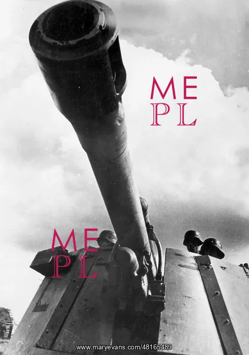 : German artillery self-propelled gun Wespe ('Wasp'), 1944 : German artillery self-propelled gun Wespe ('Wasp'), 1944