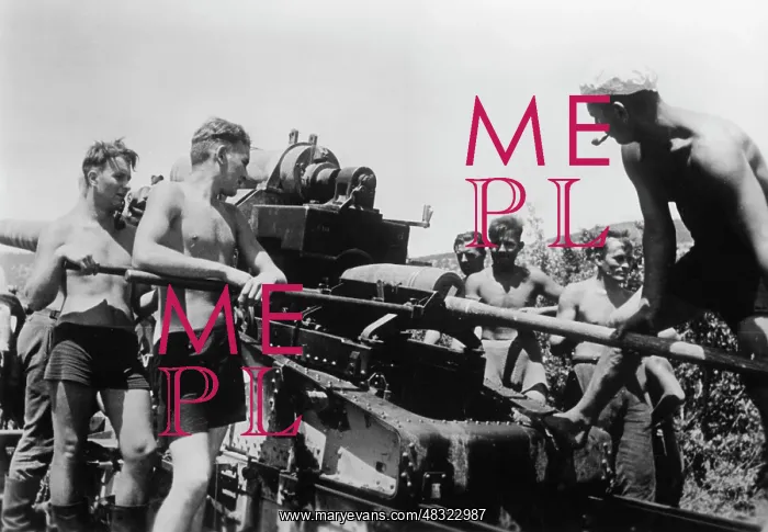 : German artillery in front of Sevastopol, 1942 : German artillery in front of Sevastopol, 1942