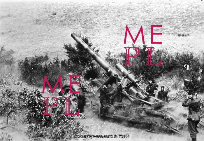 : German artillery in the southern sector of the Eastern Front : German artillery in the southern sector of the Eastern Front