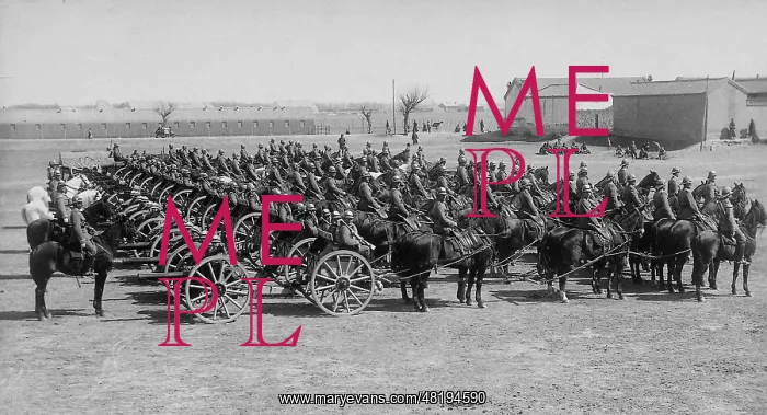 : German artillery unit in Tientsin, 1906 : German artillery unit in Tientsin, 1906
