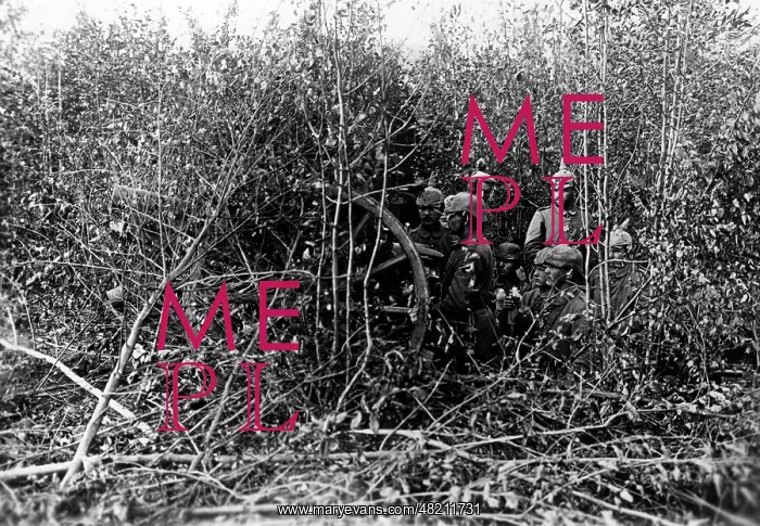 : German artillery on the Western Front, 1914 : German artillery on the Western Front, 1914
