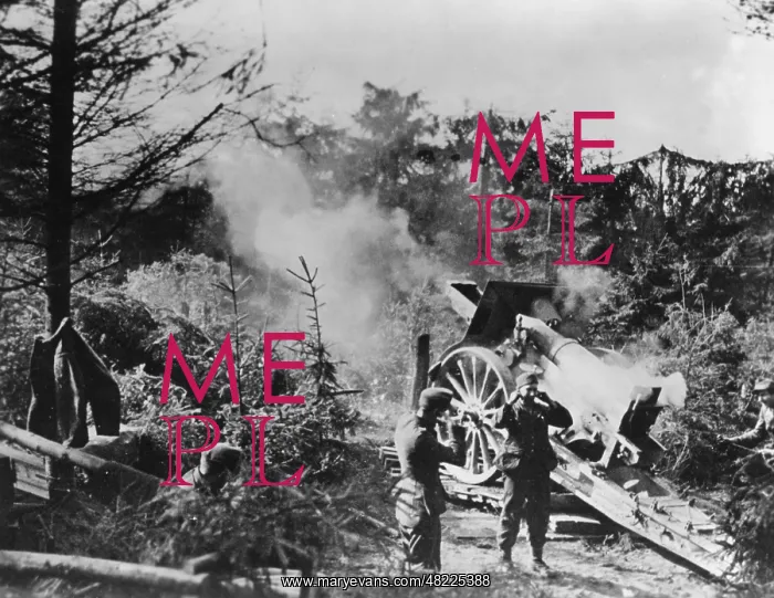  : German artillery on the Western Front, 1945