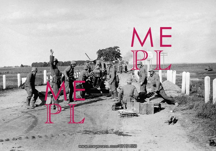 : German artillery in WWII on the Eastern front, 1942 : German artillery in WWII on the Eastern front, 1942