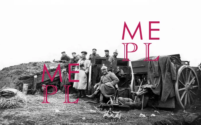 : German artillerymen in the firing position : German artillerymen in the firing position