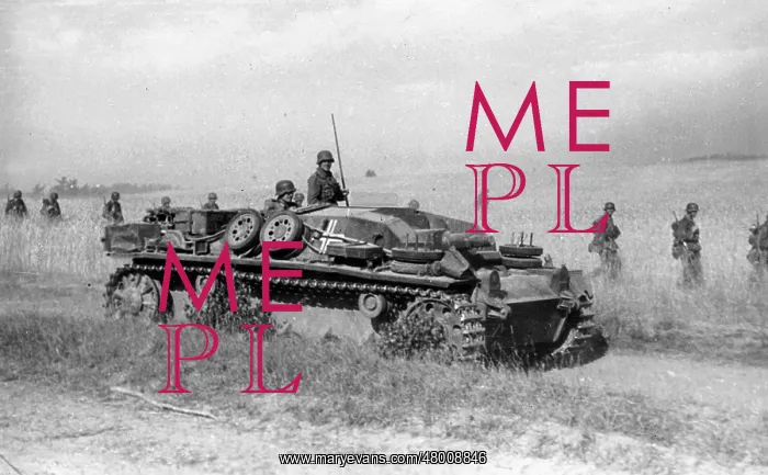 : German assault gun on the Eastern Front, 1941 : German assault gun on the Eastern Front, 1941