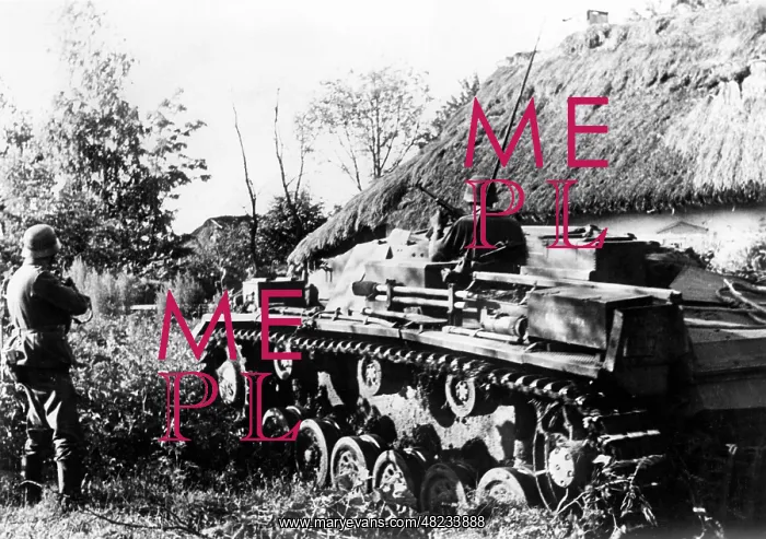 : German assault gun on the Eastern Front, 1941 : German assault gun on the Eastern Front, 1941