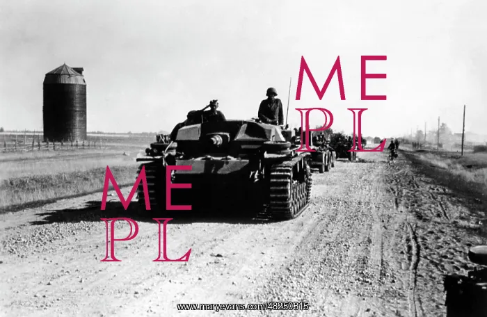 : German assault gun on the Eastern Front, 1941 : German assault gun on the Eastern Front, 1941