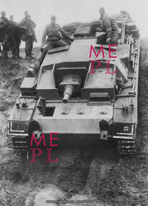 : German assault gun - Eastern Front, 1941 : German assault gun - Eastern Front, 1941
