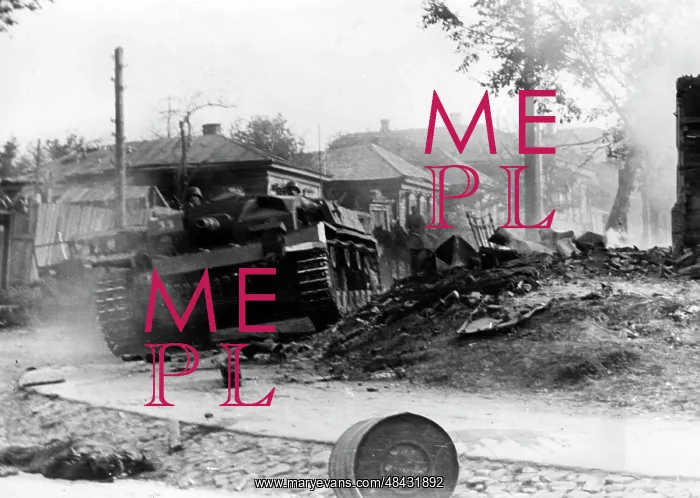 : German assault gun - Eastern Front, 1941 : German assault gun - Eastern Front, 1941