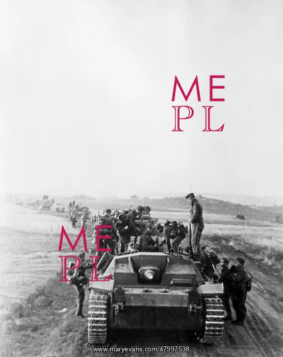 : German assault gun on the Eastern Front, 1942 : German assault gun on the Eastern Front, 1942