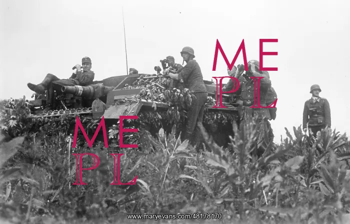 : German assault gun on the Eastern Front, 1942 : German assault gun on the Eastern Front, 1942