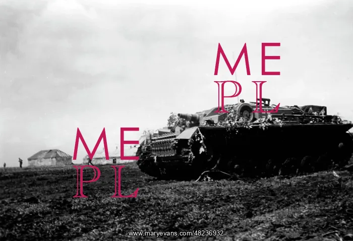 : German assault gun on the Eastern Front, June 1942 : German assault gun on the Eastern Front, June 1942