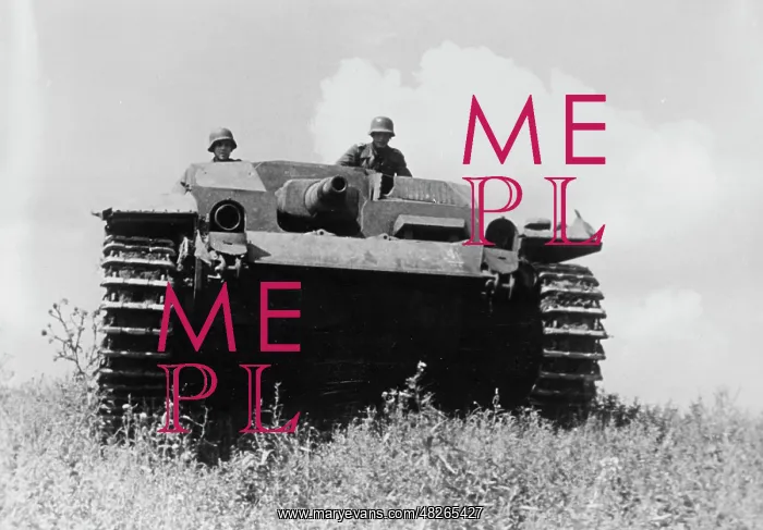 : German assault gun III, 1941 : German assault gun III, 1941