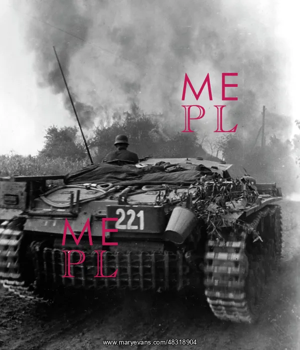: German assault gun III, 1941 : German assault gun III, 1941