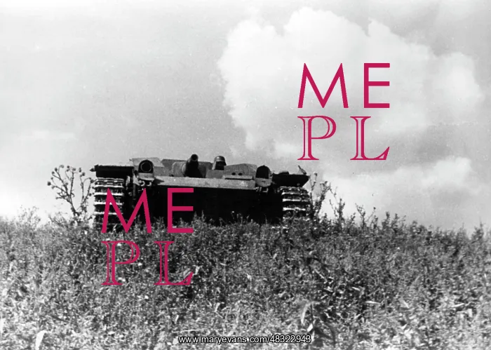 : German assault gun III, 1941 : German assault gun III, 1941
