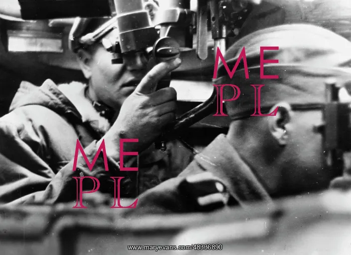 : German assault gun III, 1943 : German assault gun III, 1943